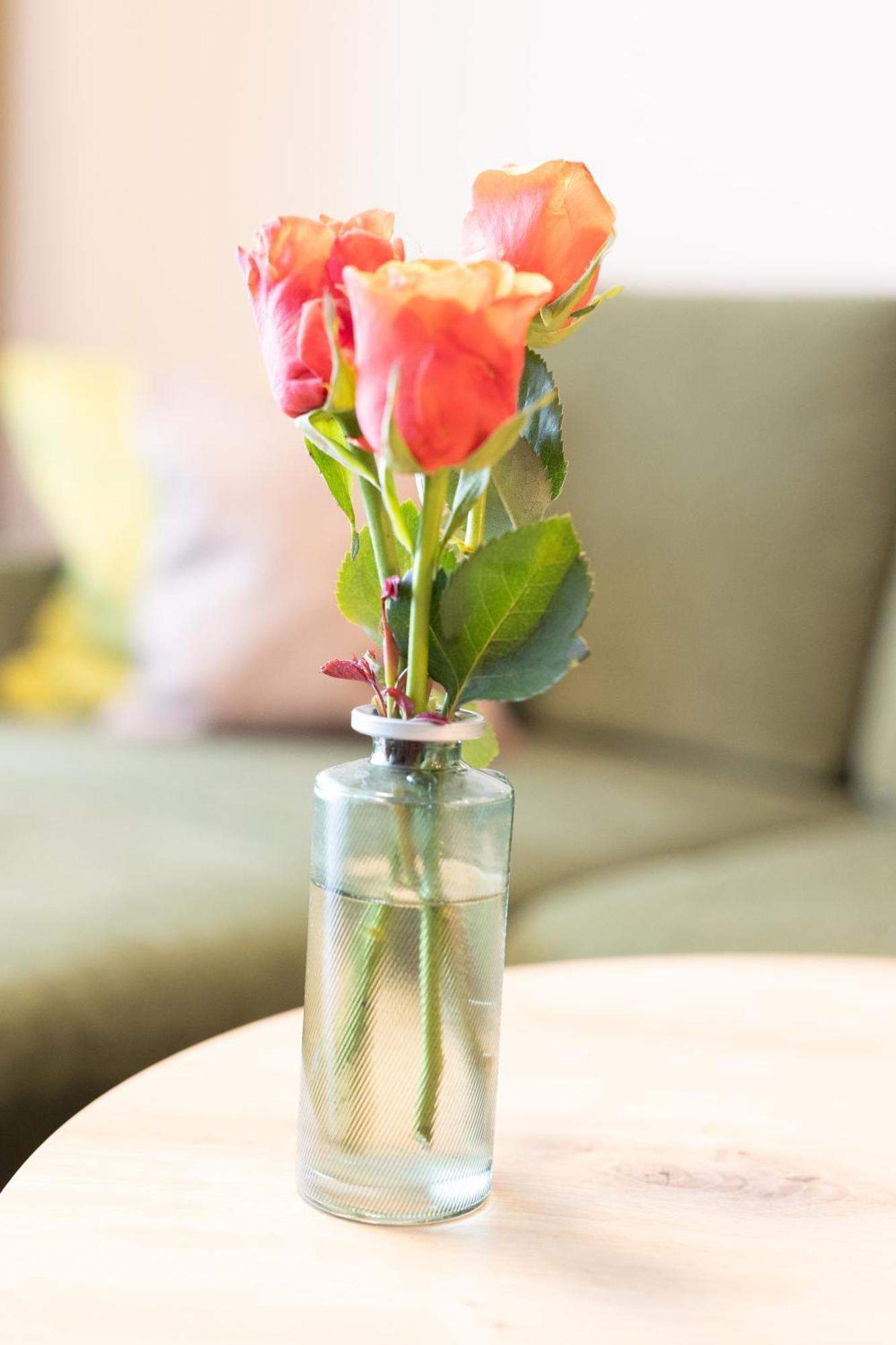 Appartementdeluxe Steiert - Near Europa Park - Rulantica - Spacious - Fully Equipped Kitchen - Private Garden - Free Parking - Pet Friendly 슈바나우 외부 사진